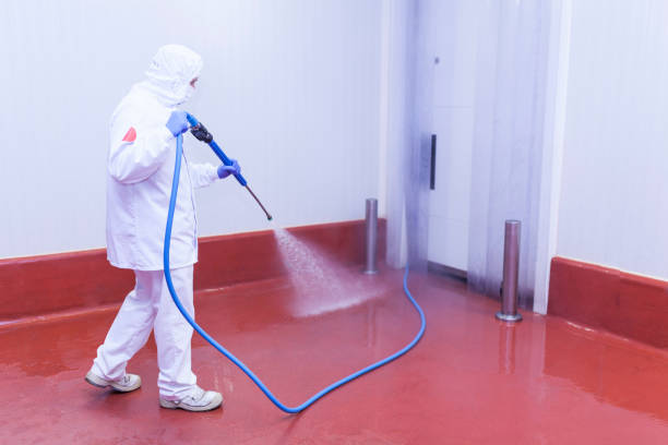Best Pre-Holiday Cleaning  in Vista Santa Rosa, CA
